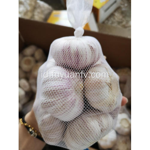 bawang putih putih normal dari jinxiang 2019
